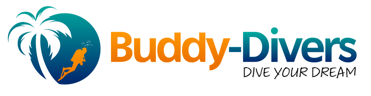 הלוגו של Buddy Divers
